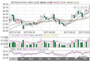掘金數(shù)字未來(lái) 信息技術(shù)咨詢(xún)服務(wù)板塊的明日熱門(mén)金股解析